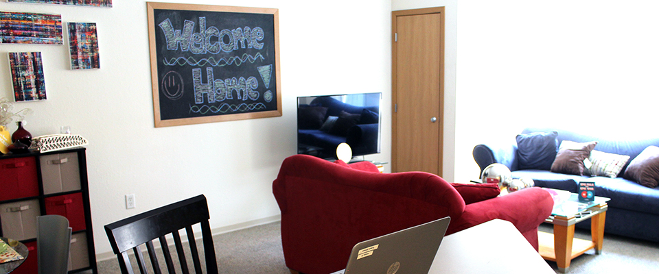 A view of the shared living area with two couches and a coffee table