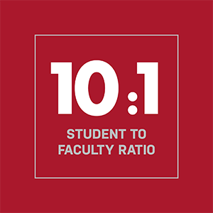 Ten to one student to faculty ratio