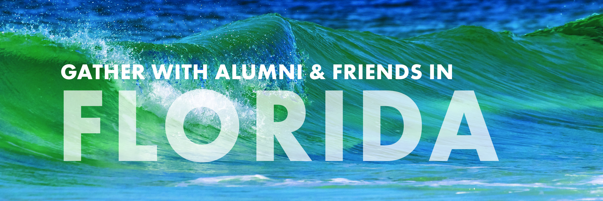 Gather with alumni and friends in Florida